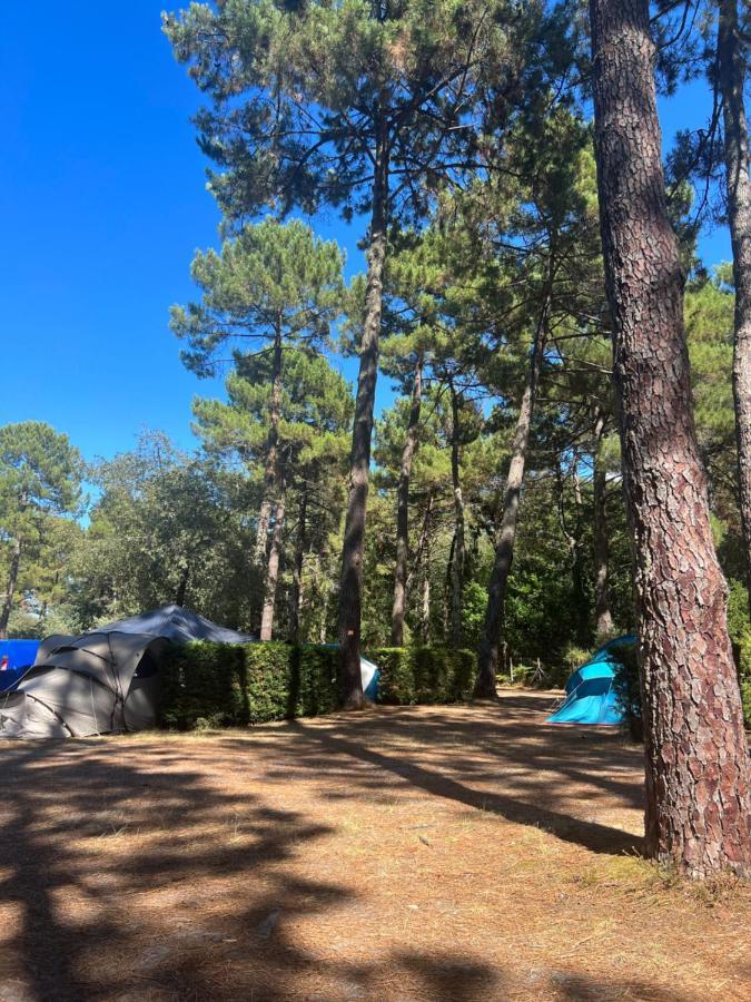 Campsite Bassin Arcachon - Les Goelands
