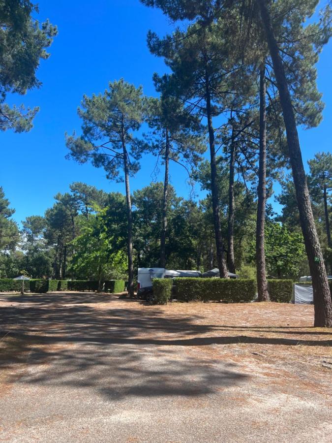 Bassin Arcachon - Les Goelands Ares